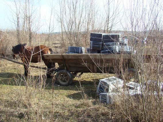 Contrabandă cu căruța la frontiera cu Ucraina