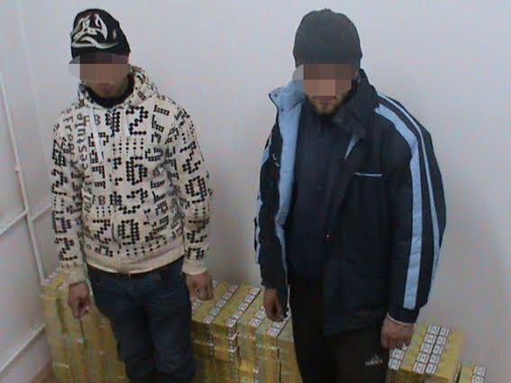 Ţigări de contrabandă confiscate în Munţii Maramureşului, la 1.600 metri altitudine