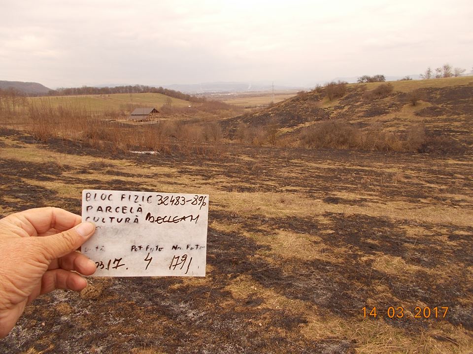 Controale efectuate de APIA Bistrița-Năsăud, cu privire la incendierea unor suprafețe de teren
