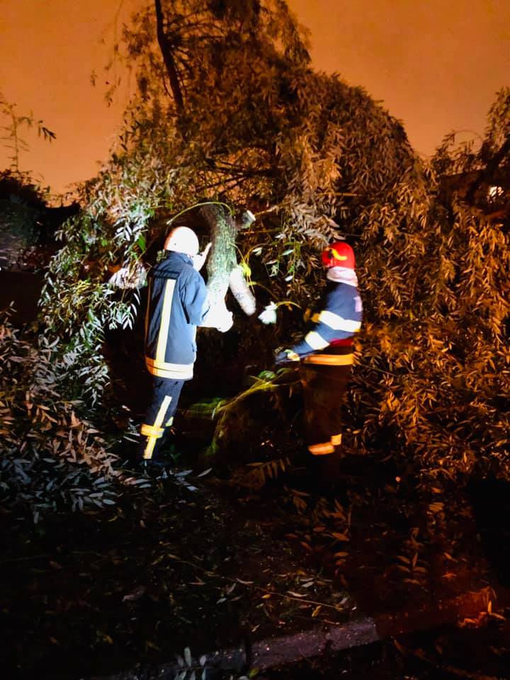 Pompierii sătmăreni au intervenit pentru degajarea crengilor unui copac căzut