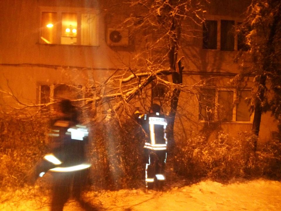 Copaci căzuți pe trotuare, îndepărtați de pompierii sibieni