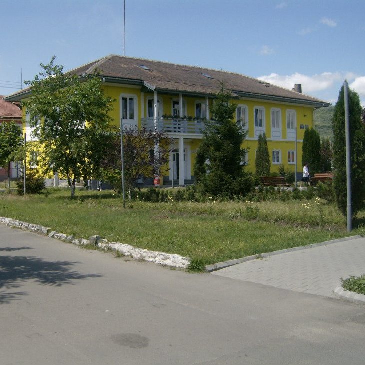 Digitalizare în Copșa Mică