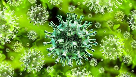 Situația epidemiologică în județul Sălaj