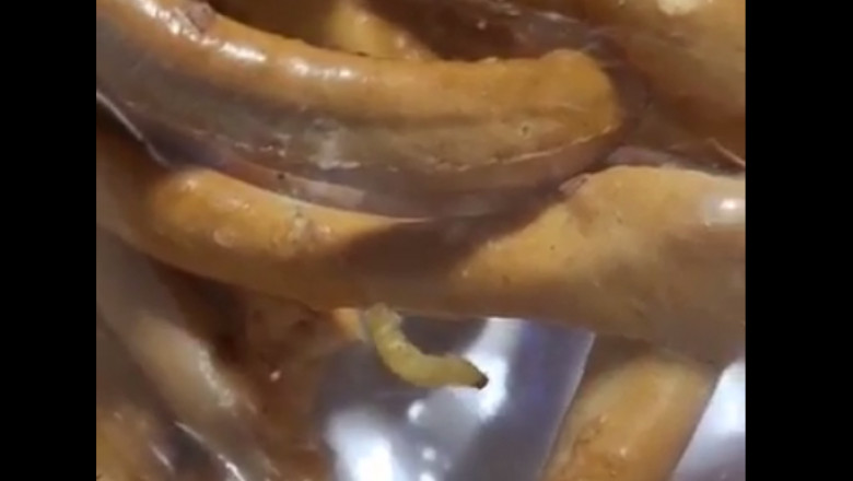 Covrigi cu viermi, la Sebes! Covrigarii ar putea produce si burgeri, paste, biscuiți sau smoothi din viermi de făină în stadiu de larvă.