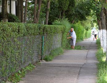 Concurs pentru asociațiile de proprietari din Cluj Napoca – “Curățenie Generală”