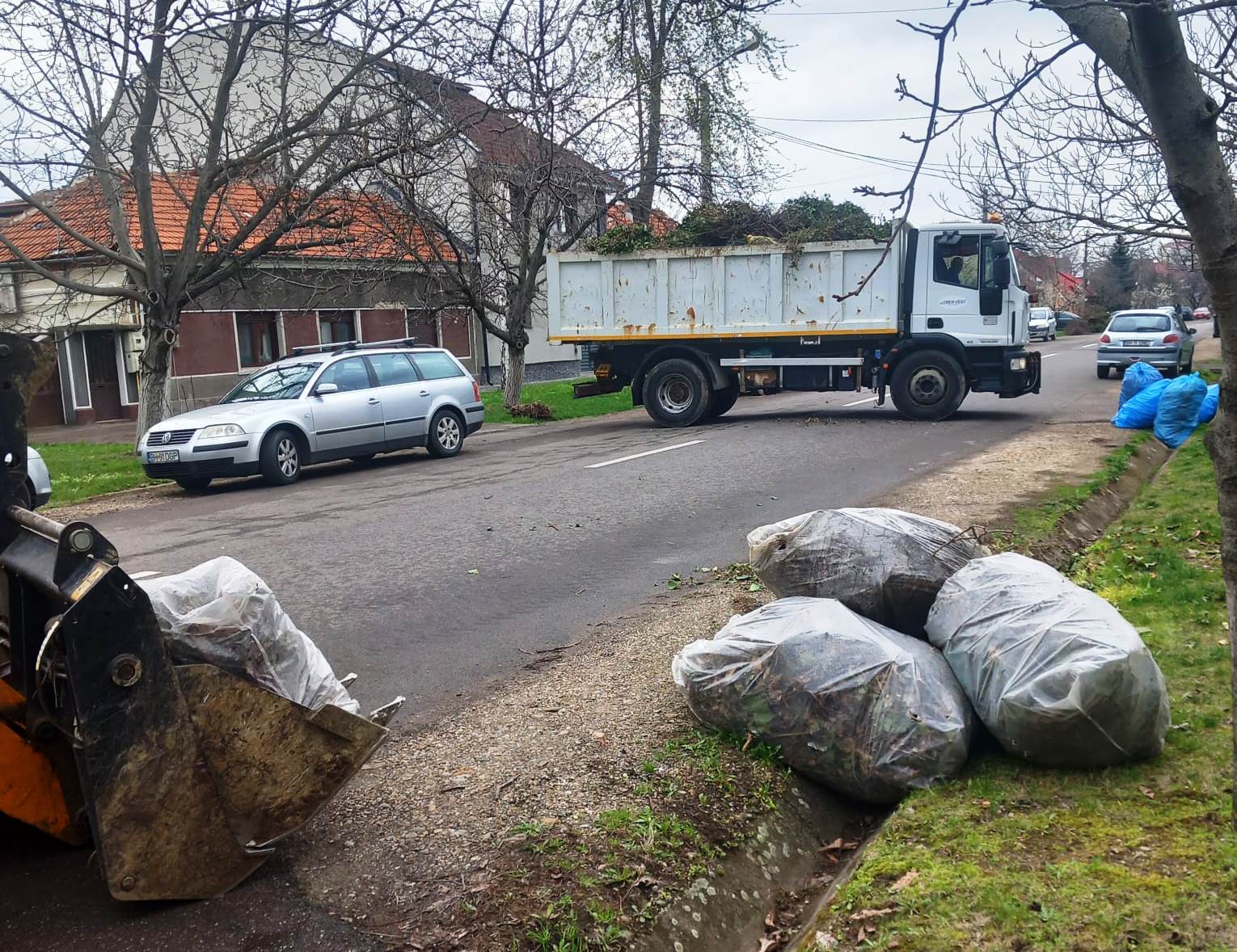 Curățenie de primăvară în Oradea