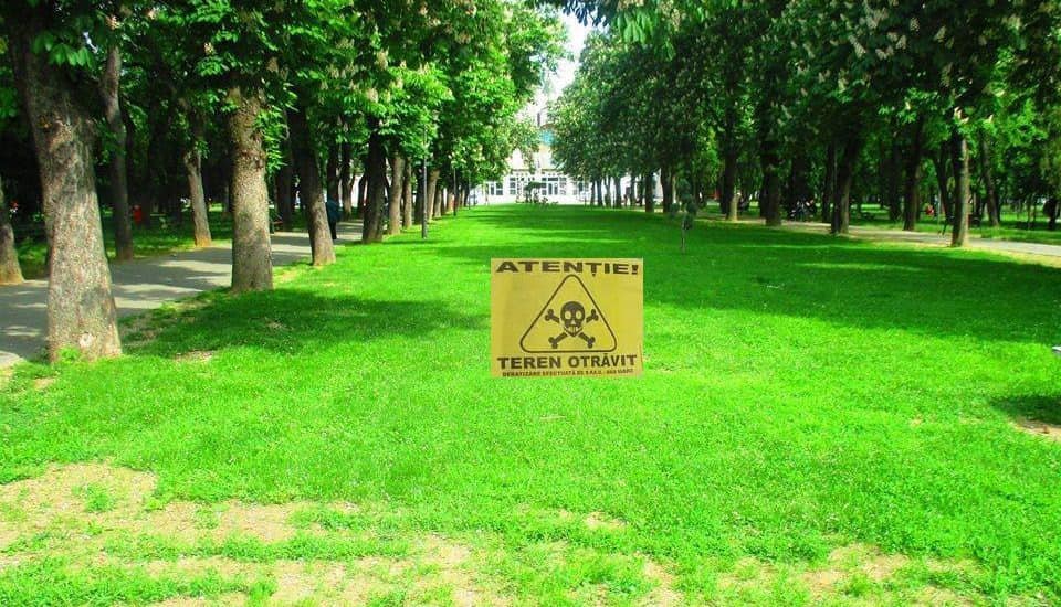 Acțiune de deratizare în Sibiu