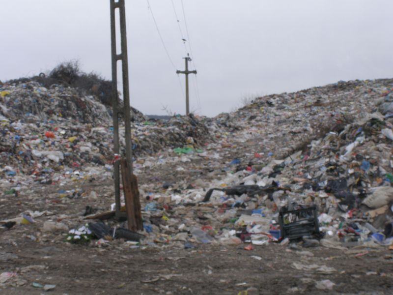 Trei firme vor colecta deșeurile menajere din Bistrița-Năsăud