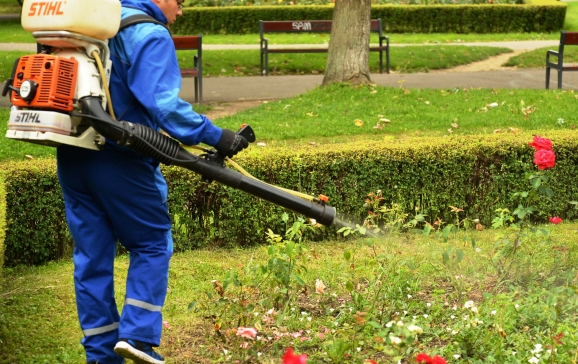 Luni, 11 septembrie, începe o nouă acțiune de dezinsecție în municipiul Oradea