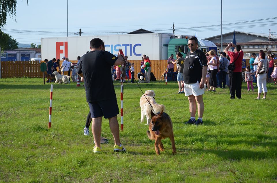 La Deva s-a deschis primul Dog Park din judeţ