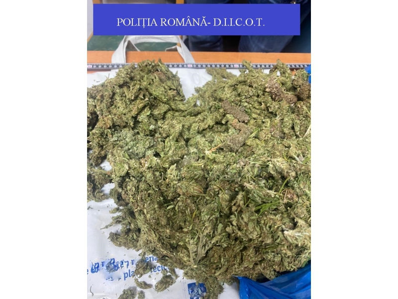 Reținuți în Satu Mare pentru trafic de droguri de risc
