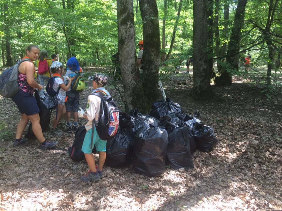 Acțiuni de ecologizare în Cisnădie şi Cisnădioara