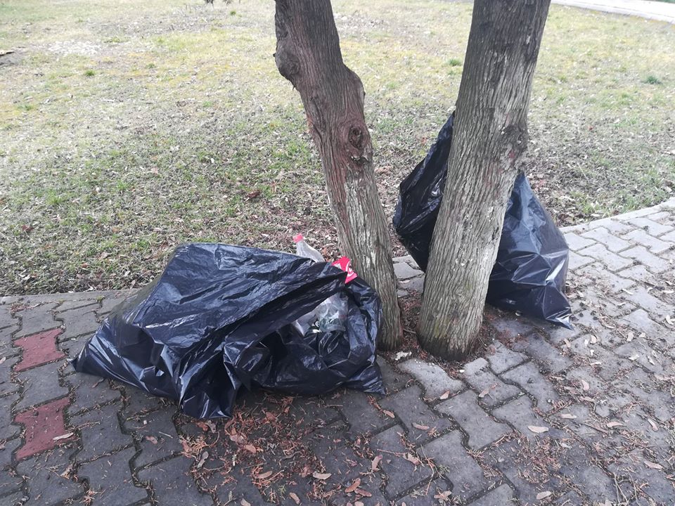 Zone publice ale Dejului au fost ecologizate