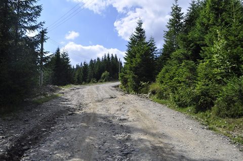 CJ Cluj a solicitat fonduri guvernamentale pentru înlăturarea efectelor calamităților naturale
