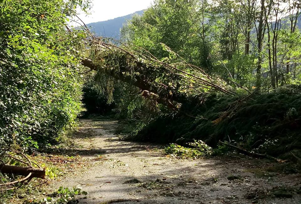 Consiliului Județean Cluj va aloca bani pentru înlăturarea efectelor calamităților naturale