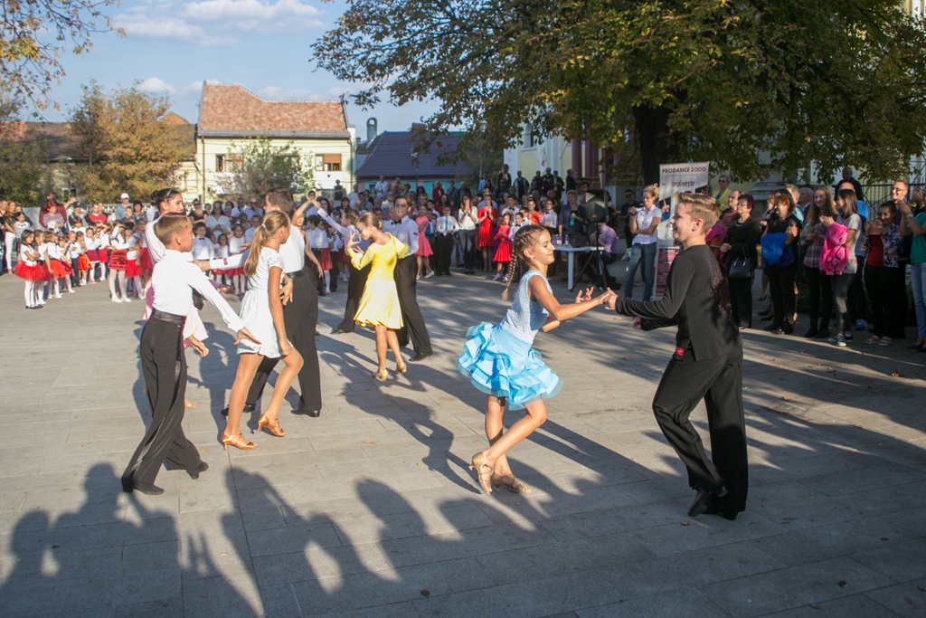 2016, un an al excelenței la Prodance 2000 Baia Mare