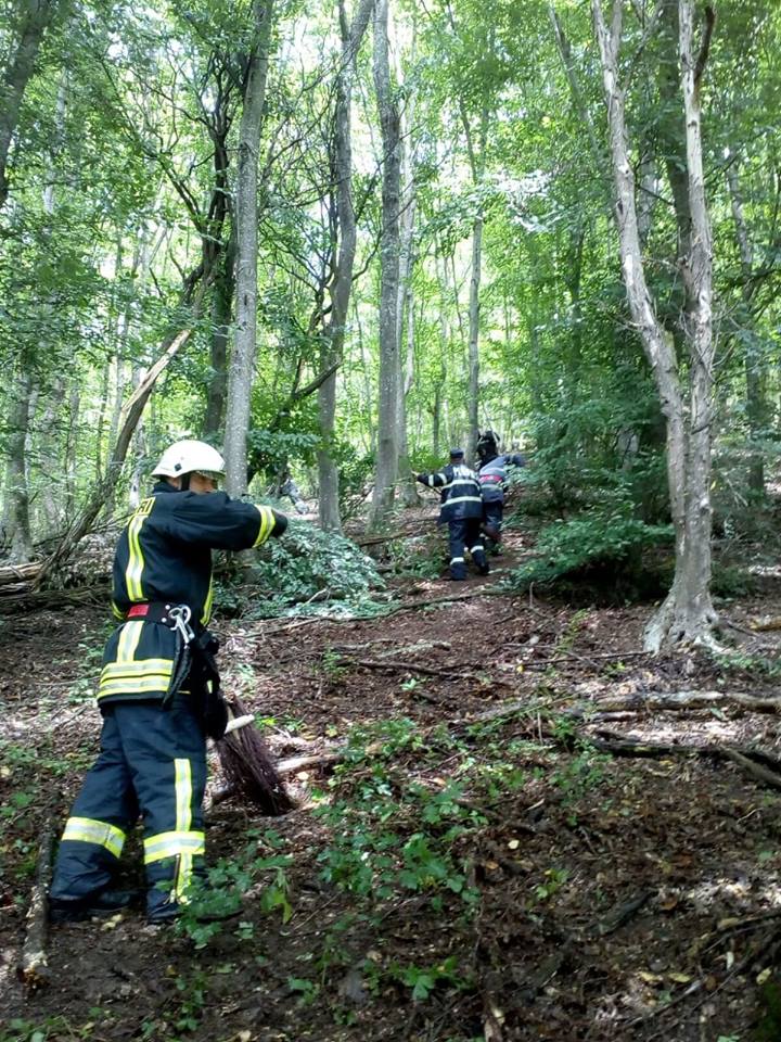 Exercițiu ISU la Gâlpaia