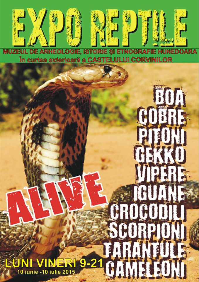 Expoziție de reptile în Hunedoara