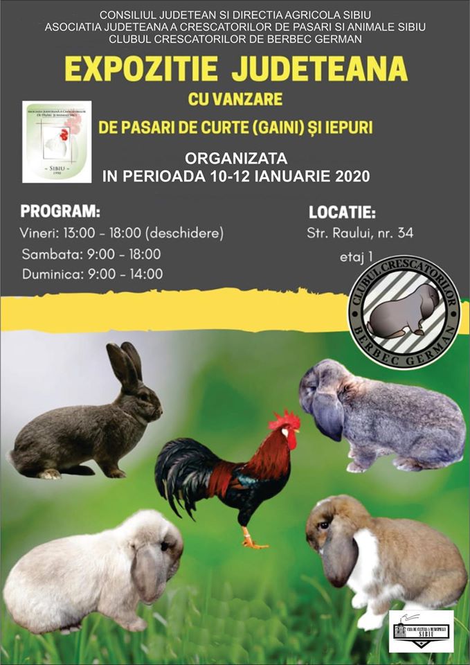 Expoziție de păsări de curte și iepuri de rasă în Sibiu
