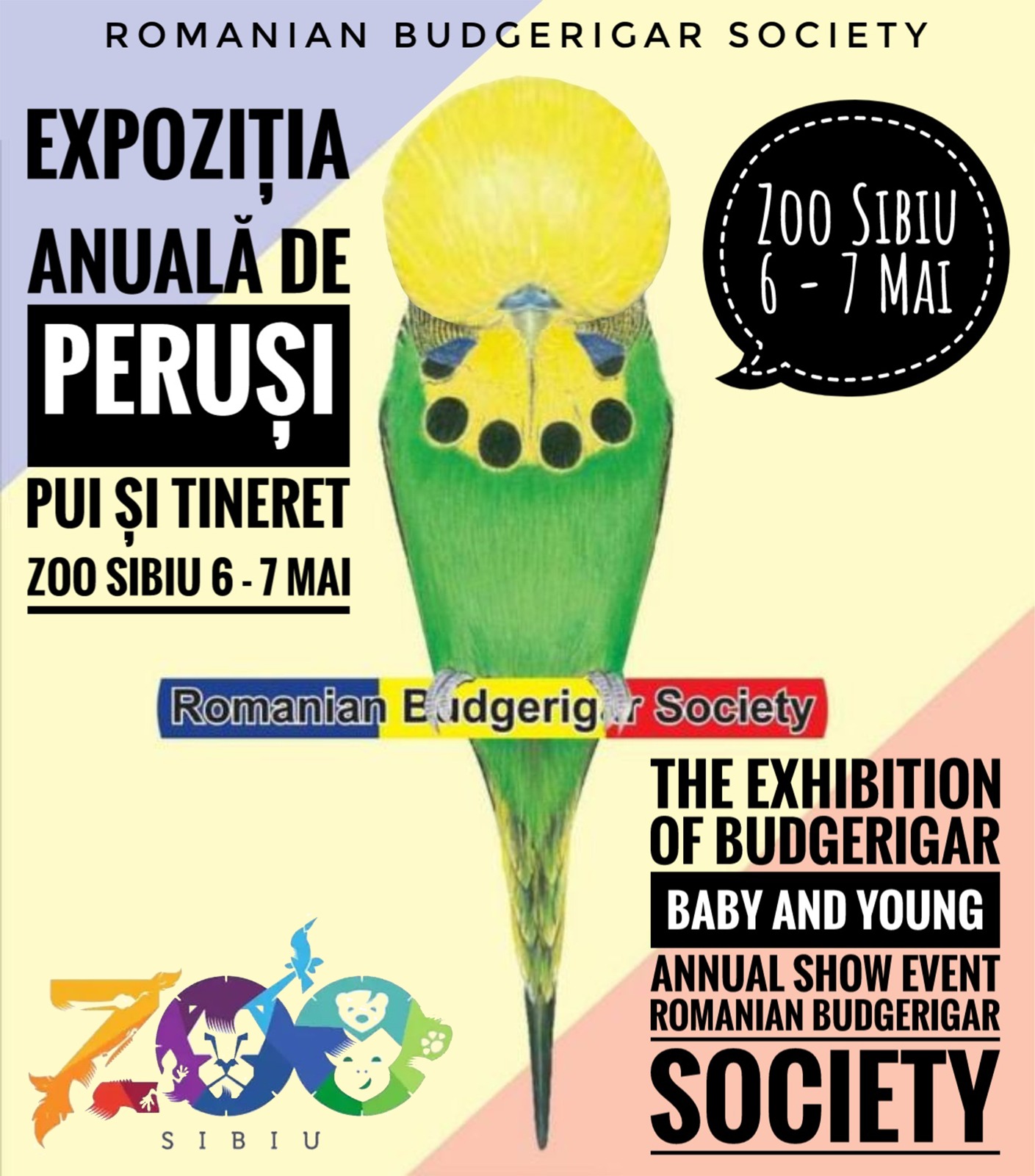 Expoziție de păsări exotice, la Zoo Sibiu