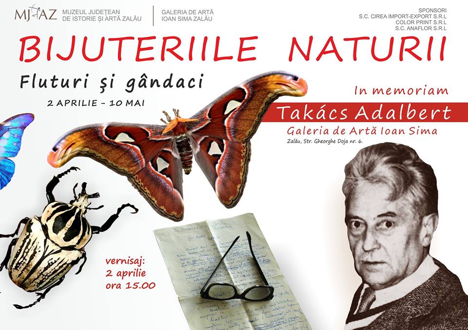 In memoriam Takács Adalbert: Expoziție de fluturi exotici și gândaci, la Muzeul de Artă „Ioan Sima” din Zalău