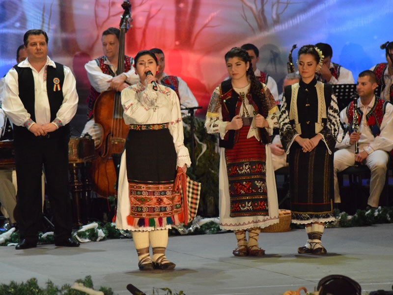 Festivalul Naţional Concurs de interpretare vocală și instrumental „Ion Petreuş”, a VIII-a ediţie