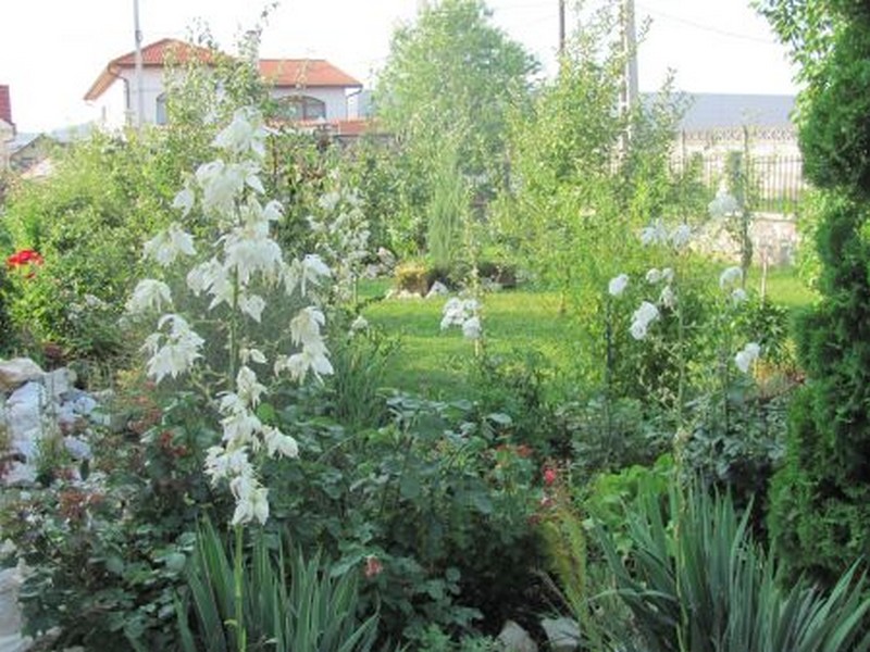 Câştigătorii concursului ,,Bistriţa Verde” au fost premiaţi