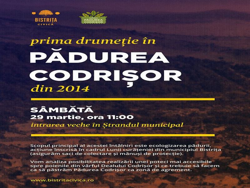 Asociaţia Bistriţa Civică organizează prima drumeție din 2014 în Pădurea Codrișor
