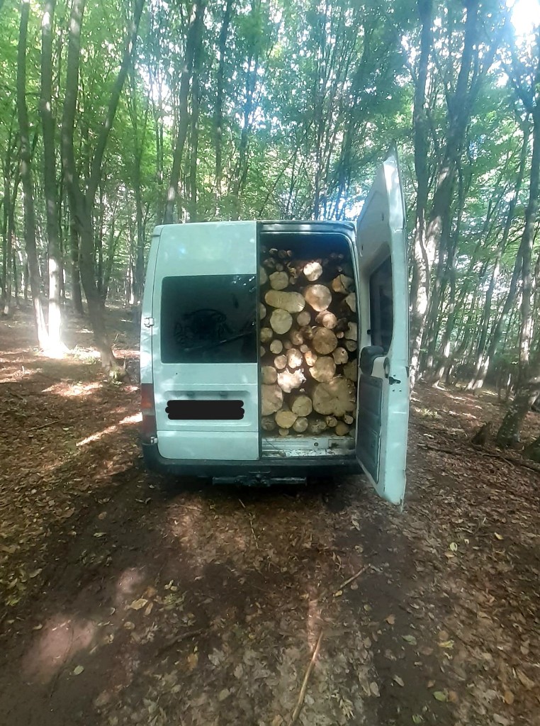Infracțiune silvică, într-o pădure de lângă Zalău
