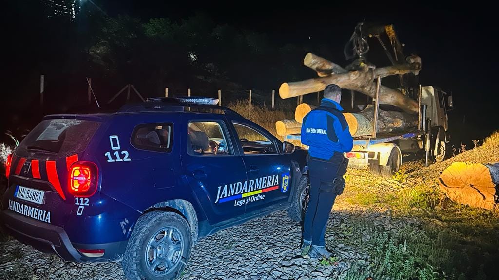 Transport ilegal de material lemnos depistat de către jandarmii montani Piatra-Fântânele
