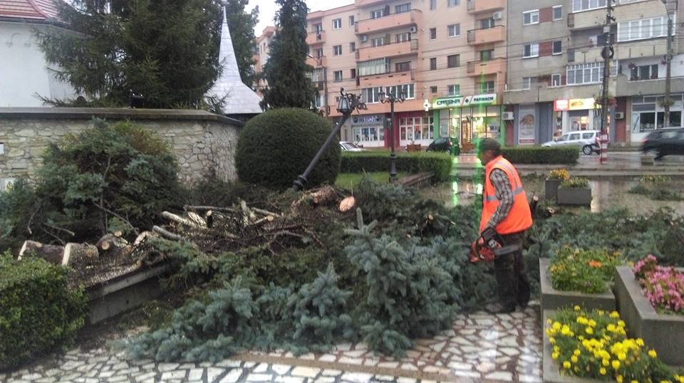 Câmpia Turzii: Furtuna produsă ieri a creat probleme mari