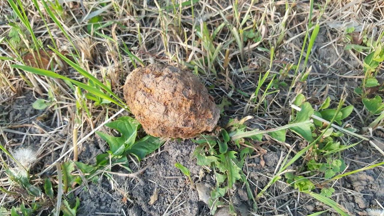 Grenadă descoperită pe strada Frunzișului din Oradea