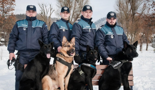 Grupa Canină de la IPJ Maramureș, felicitată pentru activitatea din anul 2018