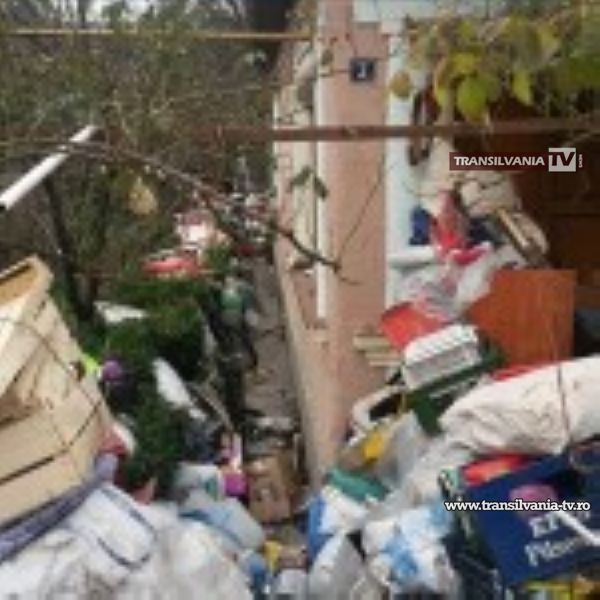 Câtă mizerie a strâns un om într-o casă din Satu Mare! A umplut cartierul de şobolani
