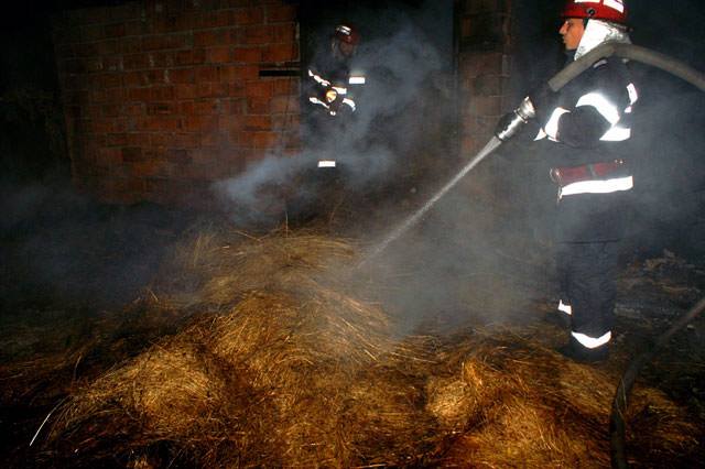 Incendiu stins de pompieri în Borșa