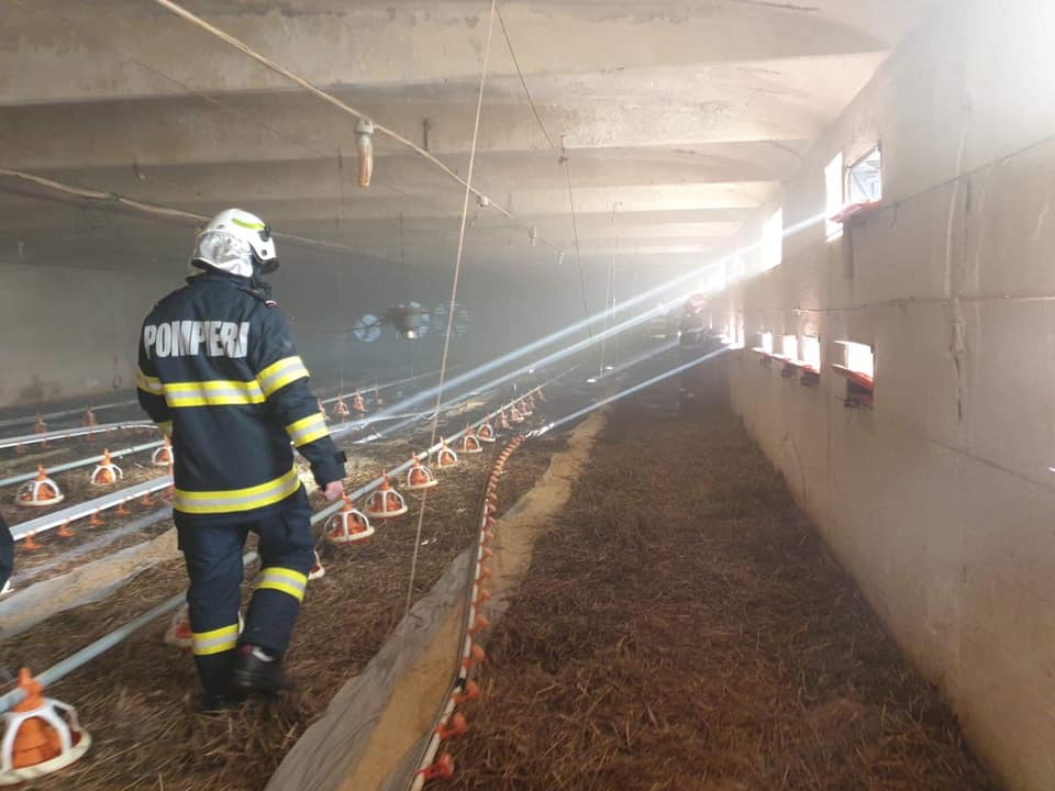 Incendiu la o hală pentru creșterea puilor în localitatea Botiz
