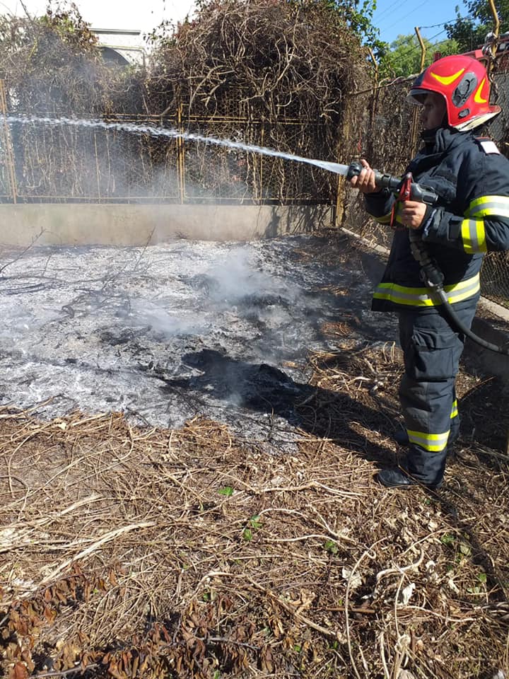 Incendiu de vegetație uscată în Carei