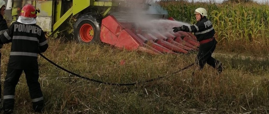 Incendiu la o cultură de porumb, în Girișu de Criș