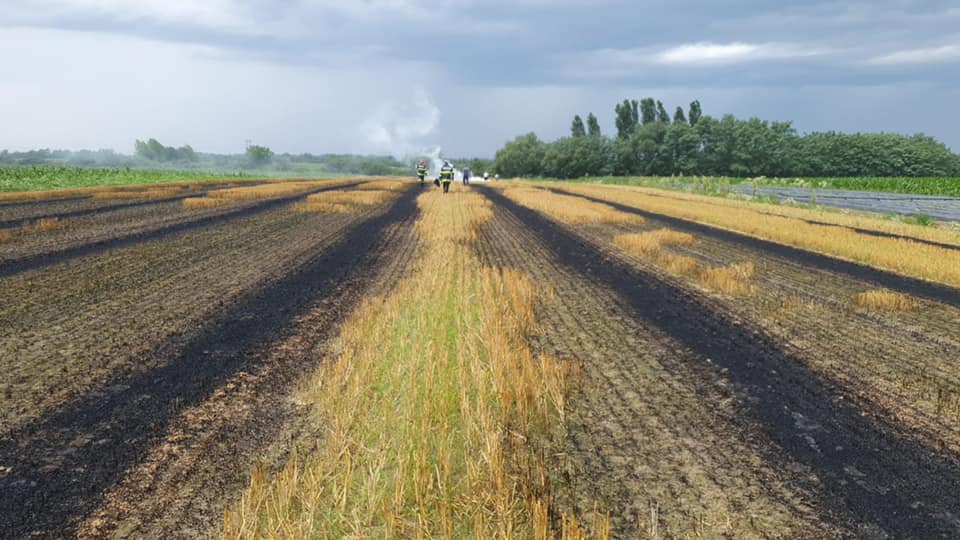 Incendiu de vegetație uscată în Halmeu