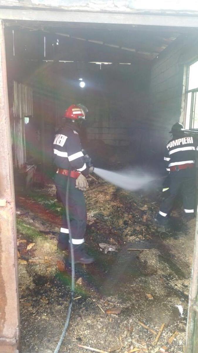 Incendiu produs la o societate comercială din localitatea Lunca