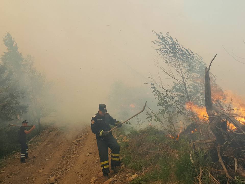 Hectare întregi de vegetație alpină ard în zona Borșa
