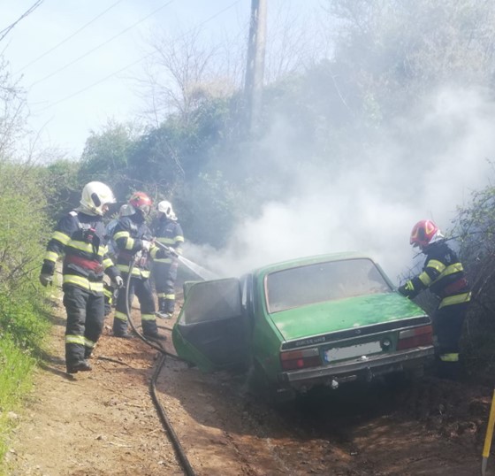Incendii în Tinca și Diosig