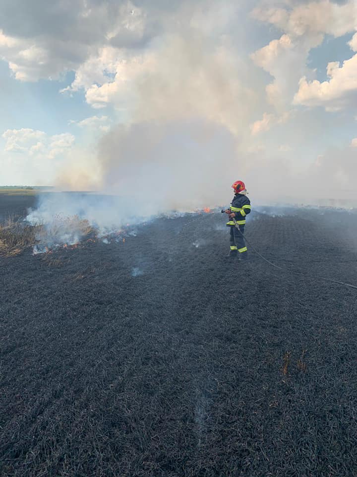 Un lan de grâu a luat foc, între localitățile Tiream și Căuaș