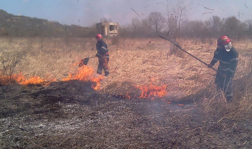 Incendiu produs la o pășune comunală din Forău