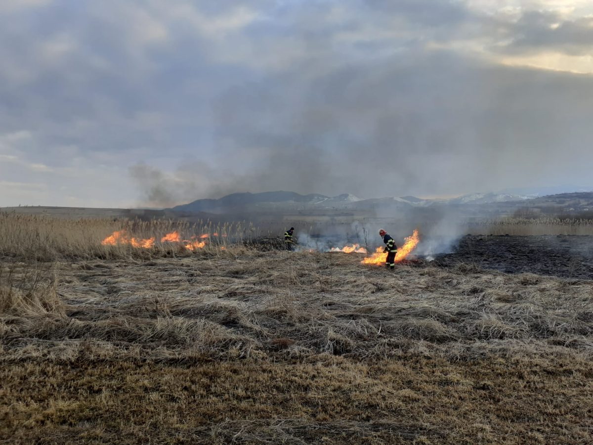 Incendii de vegetație produse în județul Cluj