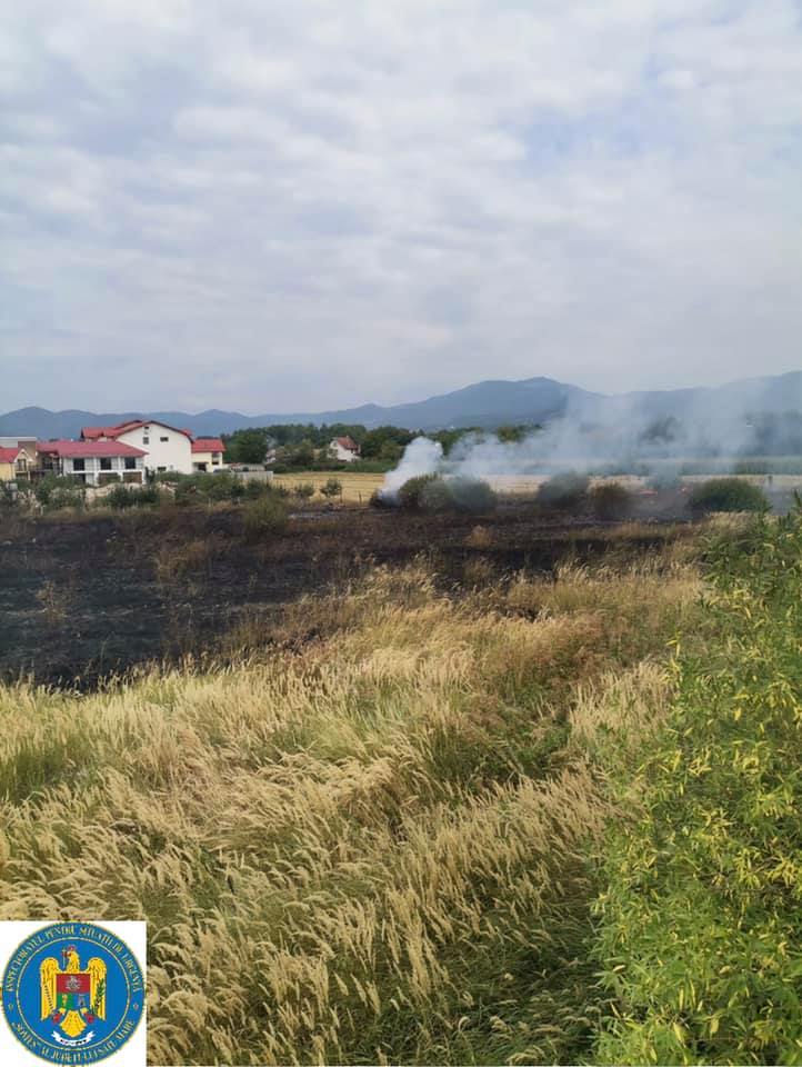 Incendiu de vegetație uscată stins de pompierii sătmăreni