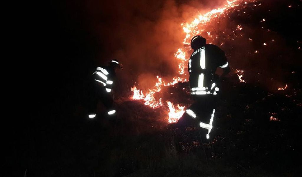 100 de hectare de pășune împădurită ard la Toplița