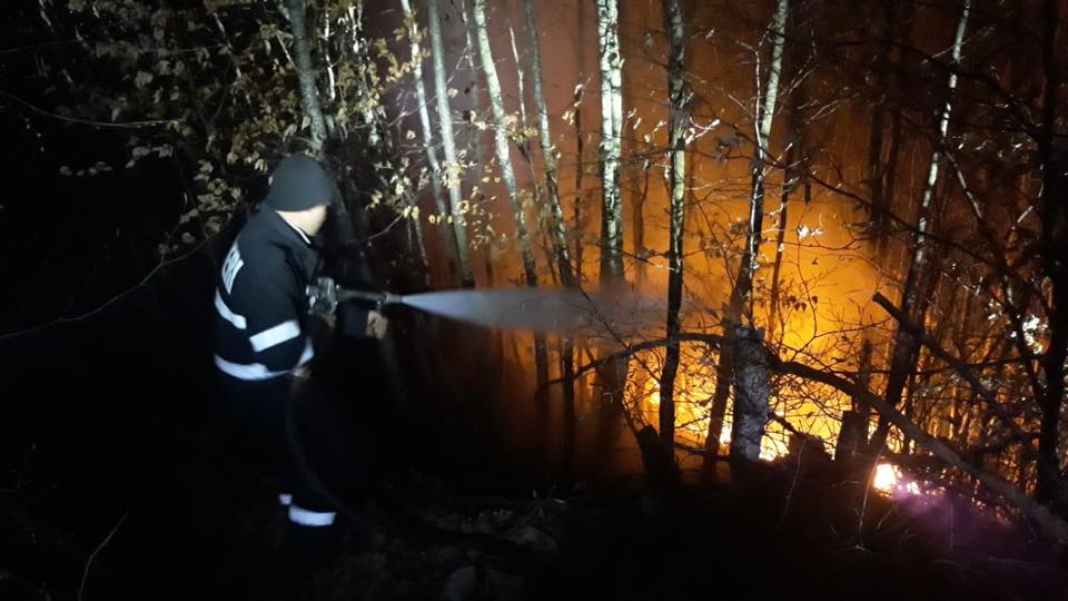 Incendiu de vegetație uscată în Lunca Leșului