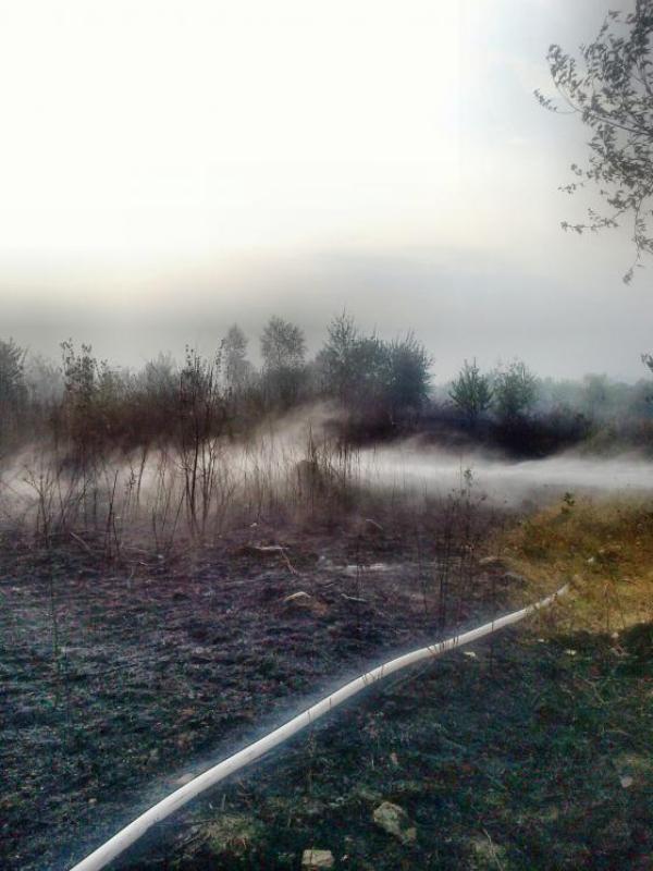 Două femei din Ghelari s-au ales cu dosare penale, după ce au provocat din neglijență un incendiu de vegetație