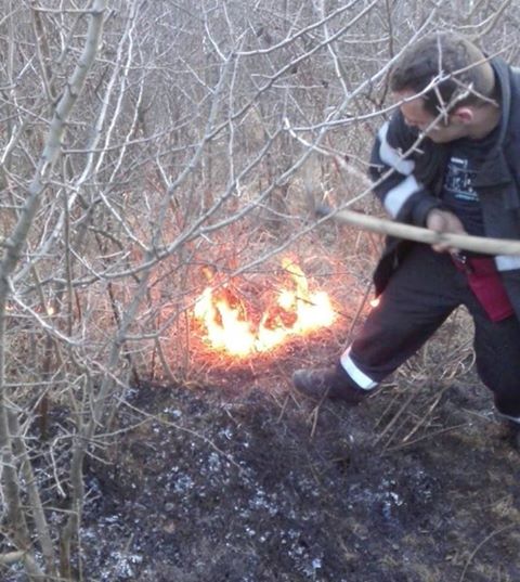 Incendiu de vegetație în Cehu Silvaniei